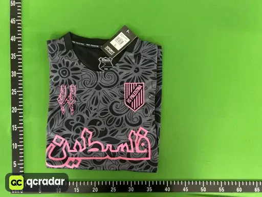 巴勒斯坦5