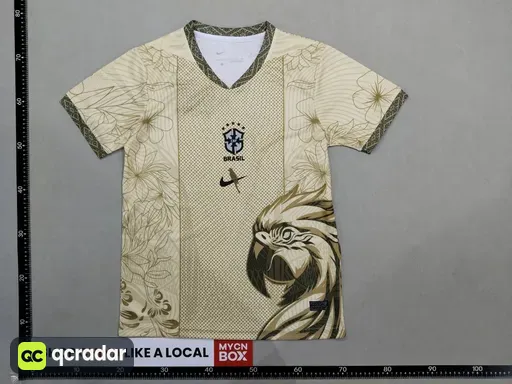Brazil 11