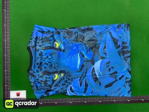 巴西13
