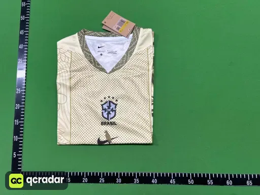 巴西11