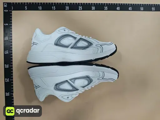 __qc_other__ d:2026-06-25