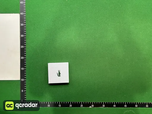 __qc_other__ d:2026-10-24