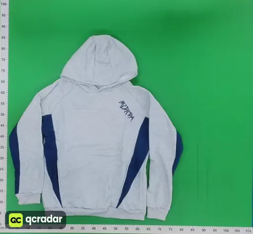 __qc_other__ d:2026-10-04