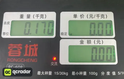 飞R背心白