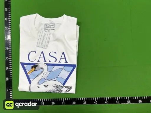 8079白