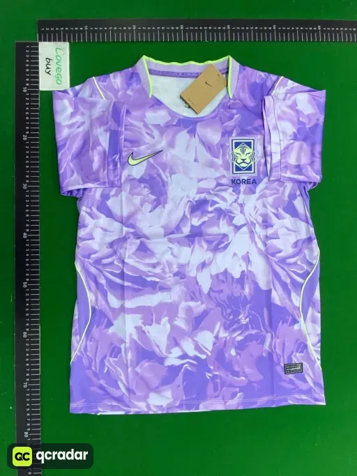 2627 south korea away game