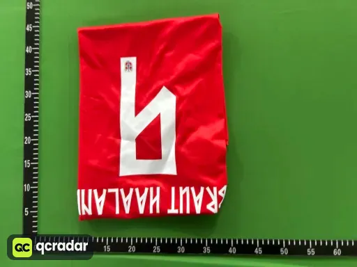 2026挪威主场BRAUT HAALAND #9