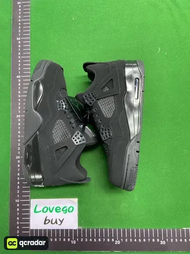 AJ487