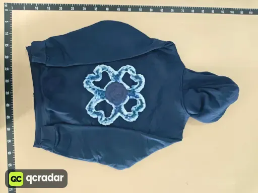 __qc_other__ d:2026-05-29