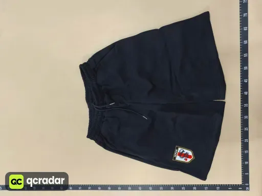 __qc_other__ d:2026-06-22