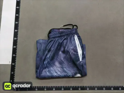 __qc_other__ d:2026-01-09