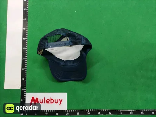 __qc_other__ d:2025-07-22