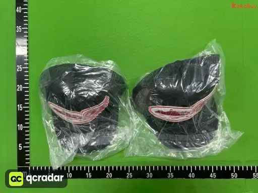 颜色分类:黑色 翅膀