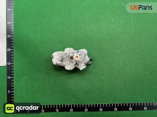 __qc_other__ d:2026-09-18