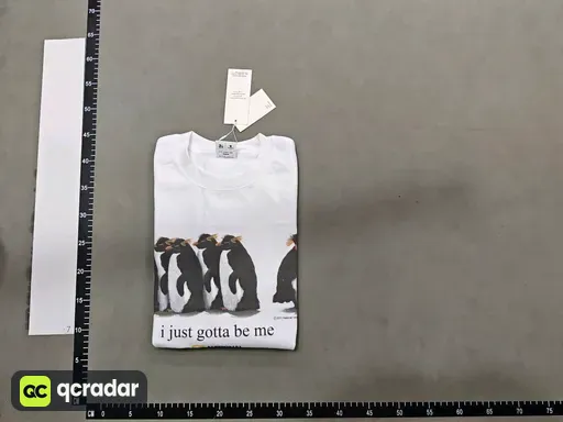 __qc_other__ d:2026-06-19