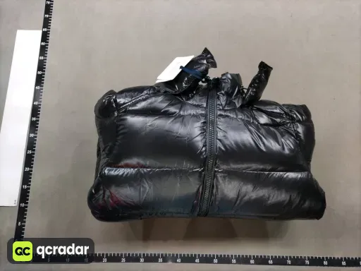__qc_other__ d:2026-01-22
