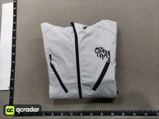 __qc_other__ d:2026-01-27