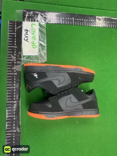 Black pigeon