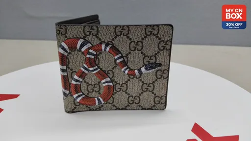 Brown Snake