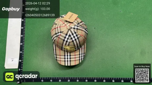 __qc_other__ d:2026-04-11