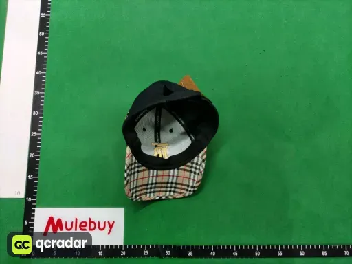 __qc_other__ d:2025-07-27