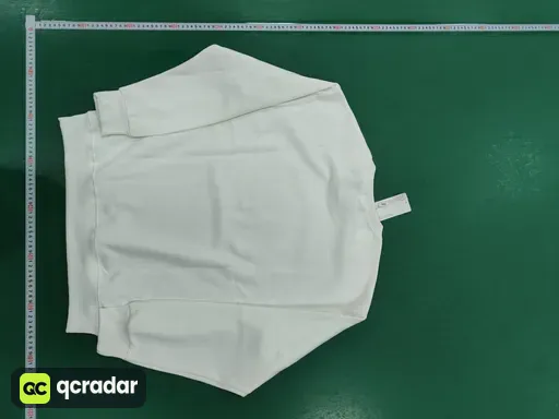 __qc_other__ d:2025-11-23
