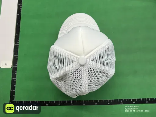 __qc_other__ d:2026-03-24