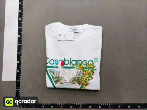 __qc_other__ d:2026-05-11