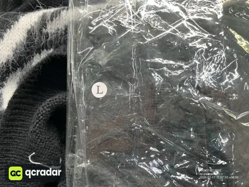 __qc_other__ d:2026-01-17