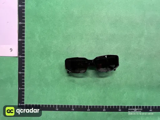 __qc_other__ d:2026-03-13