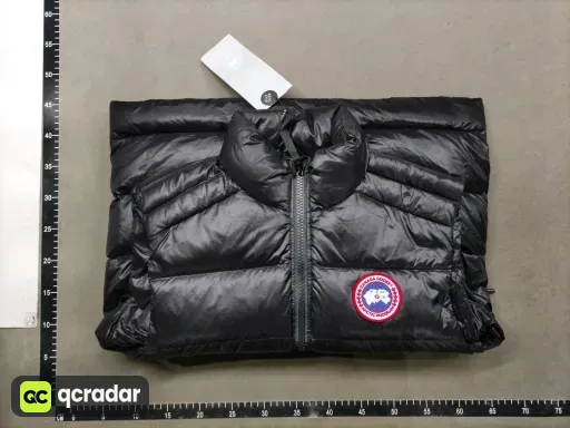 __qc_other__ d:2026-02-24
