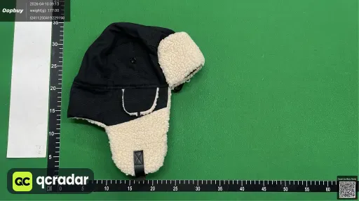 __qc_other__ d:2026-04-10