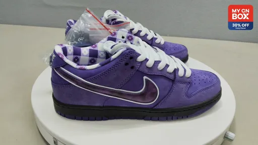 Dunk Purple Lobster BV1310-555