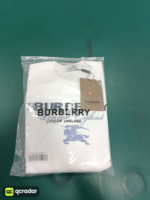 __qc_other__ d:2025-01-18
