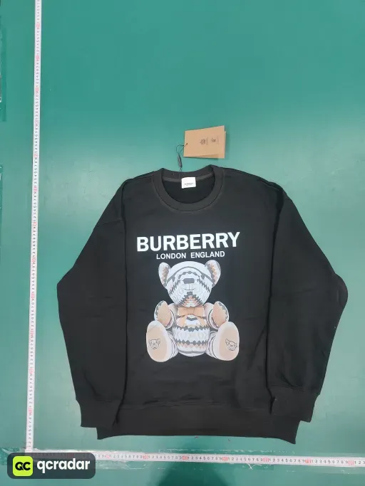 __qc_other__ d:2025-01-06