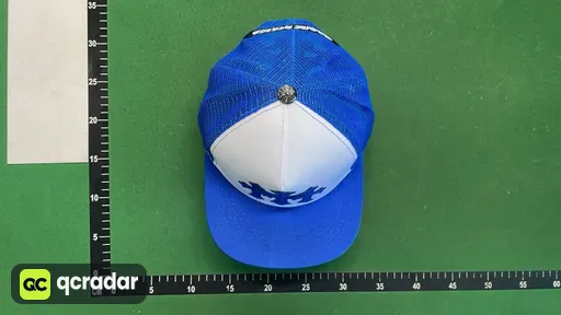 新彩色珊瑚  白蓝色