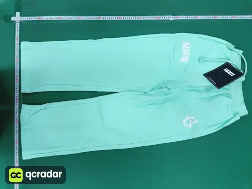 __qc_other__ d:2026-01-06