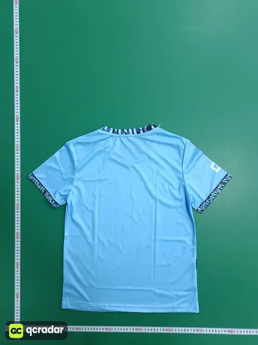 __qc_other__ d:2025-03-17
