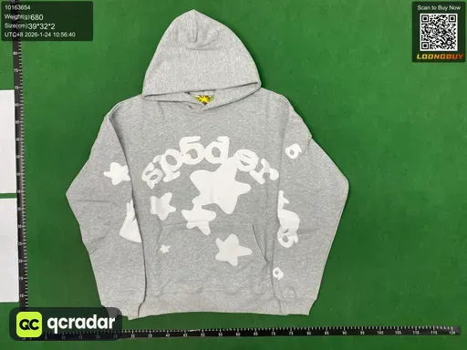 __qc_other__ d:2026-01-24