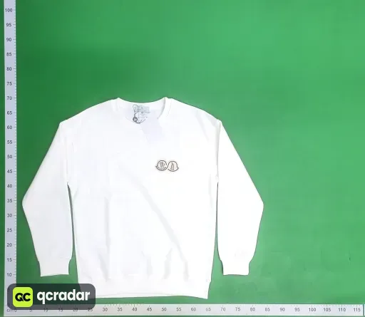 __qc_other__ d:2025-05-02