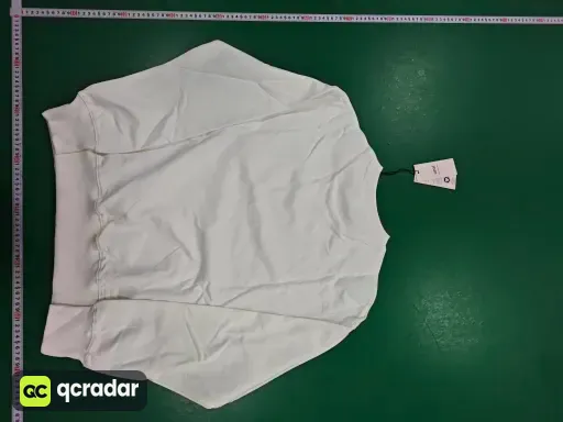 __qc_other__ d:2025-11-24