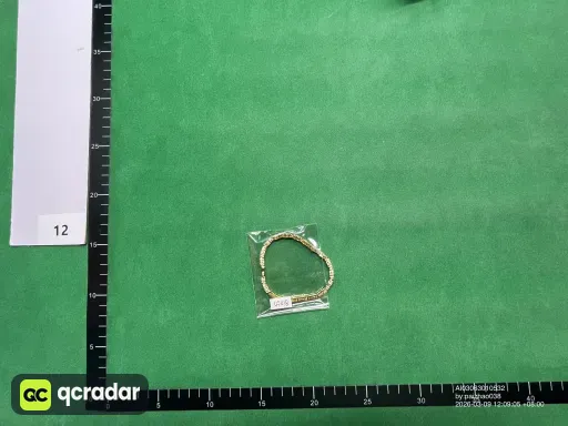 __qc_other__ d:2026-03-09