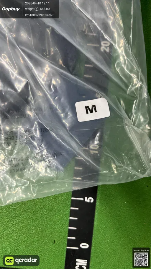 __qc_other__ d:2026-04-10