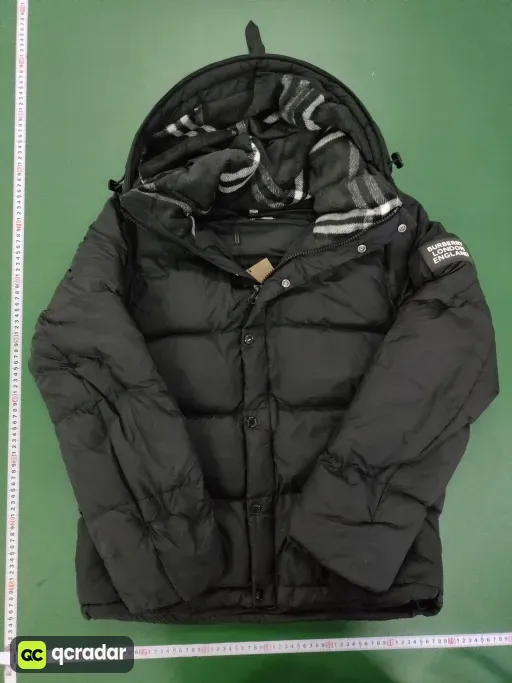 __qc_other__ d:2025-11-15
