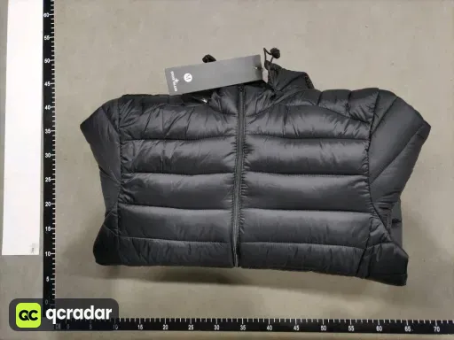 __qc_other__ d:2026-01-10