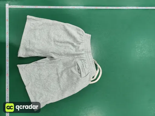 __qc_other__ d:2026-01-24