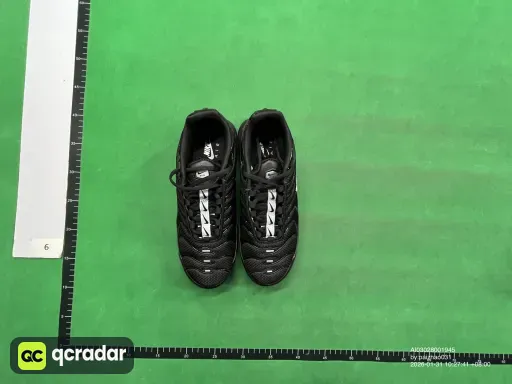 __qc_other__ d:2026-01-31