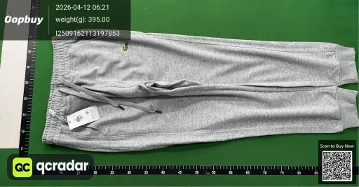 __qc_other__ d:2026-04-11