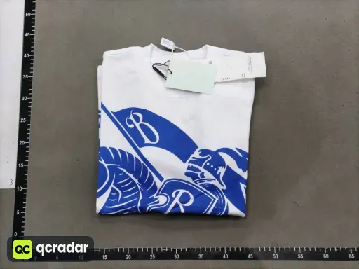 __qc_other__ d:2026-05-21