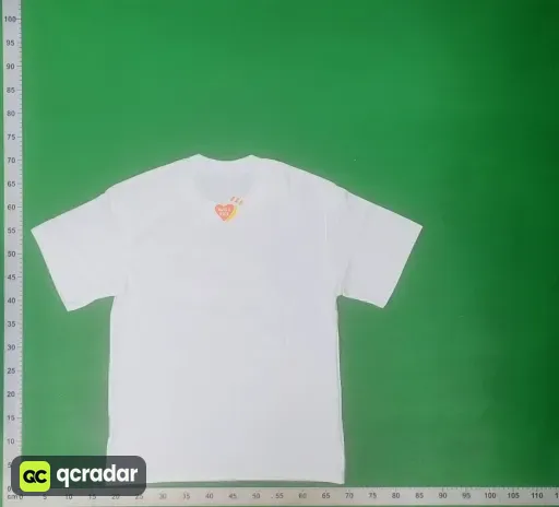 __qc_other__ d:2026-03-24